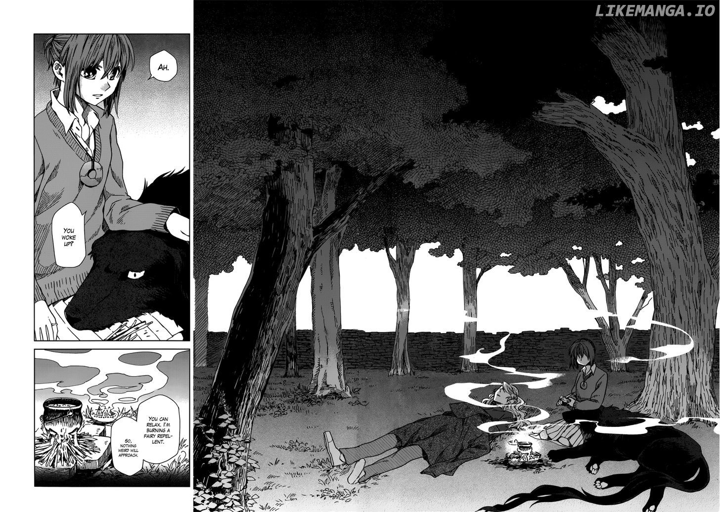 The Ancient Magus Bride, Chapter 10 image 13